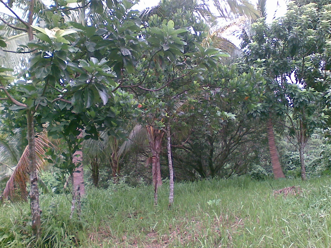 FOR SALE: Lot / Land / Farm Rizal > Other areas