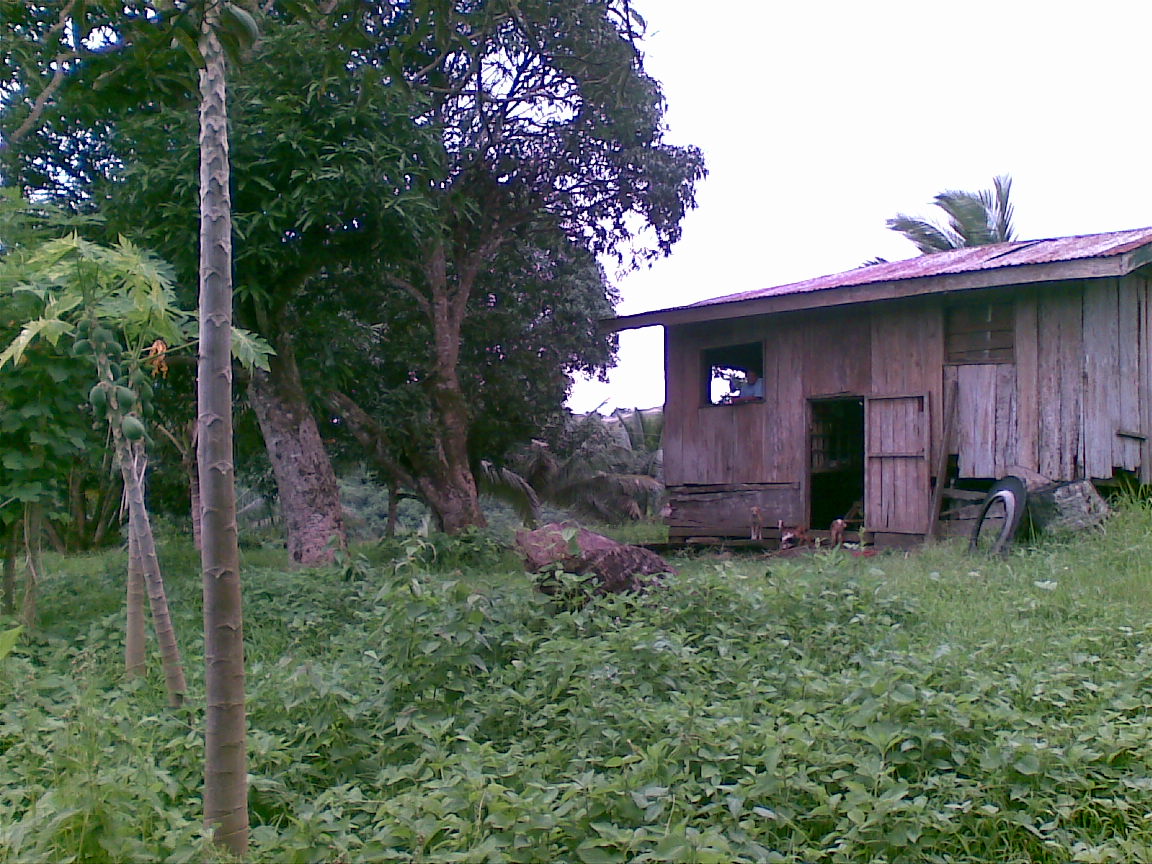 FOR SALE: Lot / Land / Farm Rizal > Other areas 1