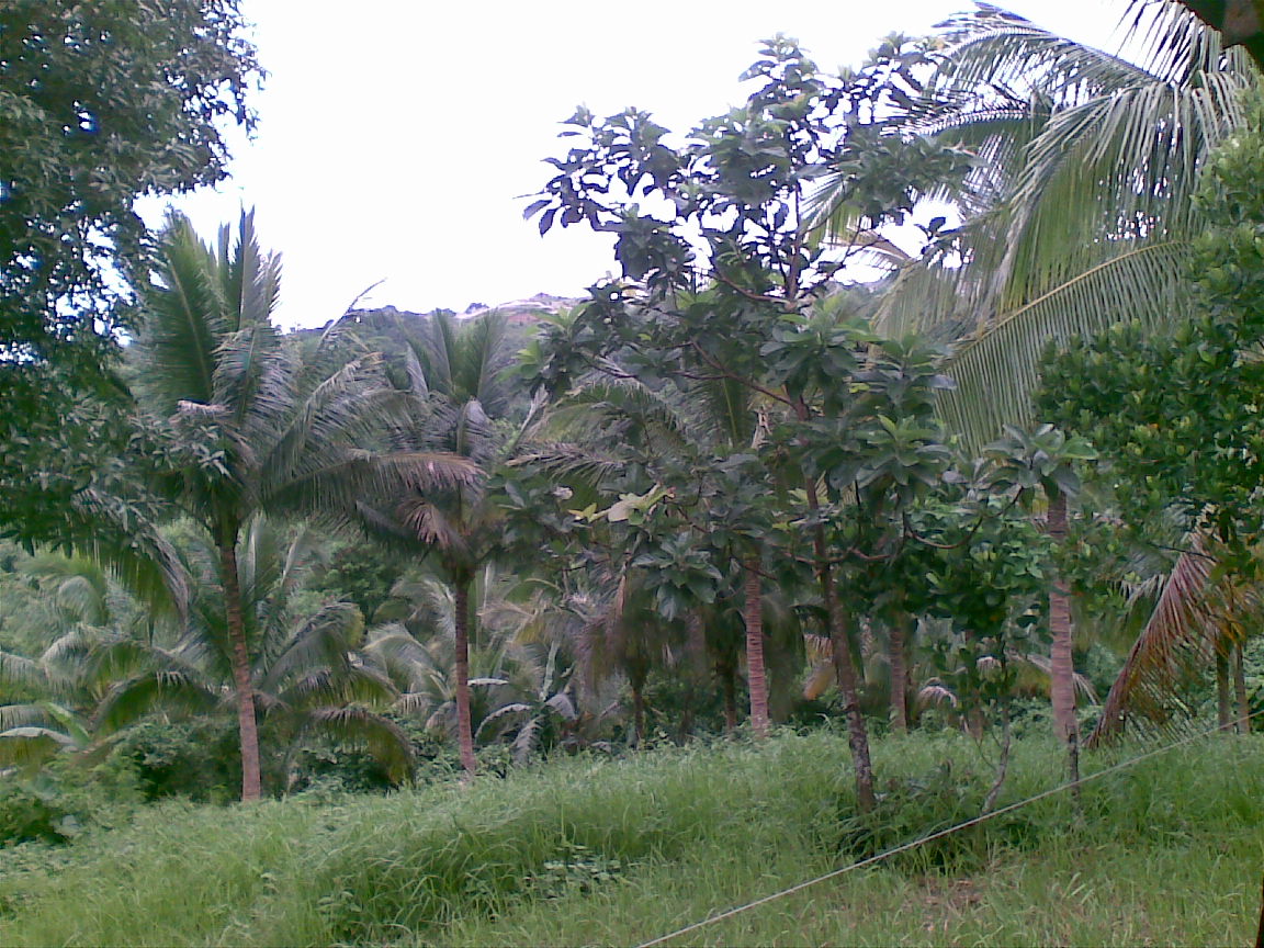 FOR SALE: Lot / Land / Farm Rizal > Other areas 2