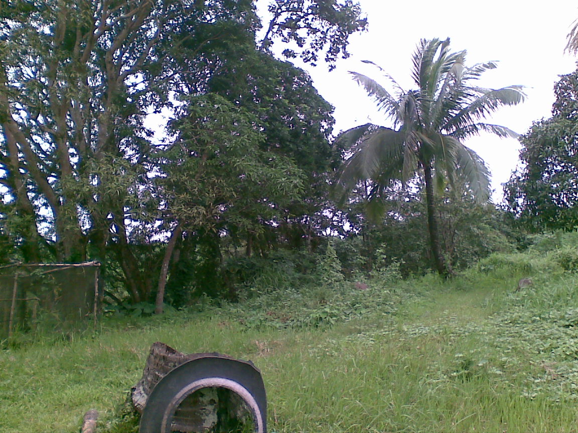 FOR SALE: Lot / Land / Farm Rizal > Other areas 3