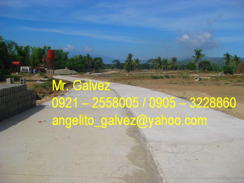 FOR SALE: Lot / Land / Farm Batangas > Other areas 2