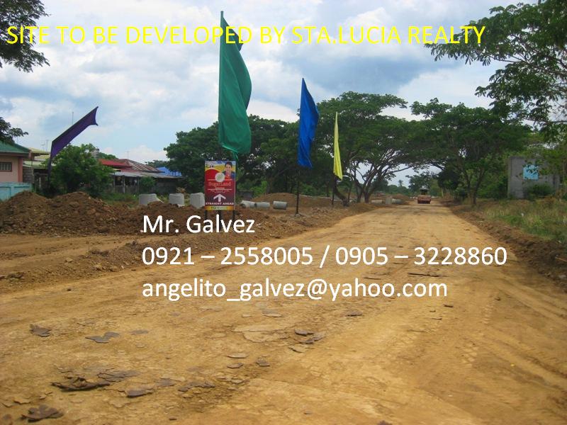 FOR SALE: Lot / Land / Farm Cavite 3