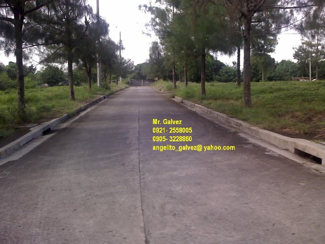 FOR SALE: Lot / Land / Farm Cavite > Dasmarinas 1