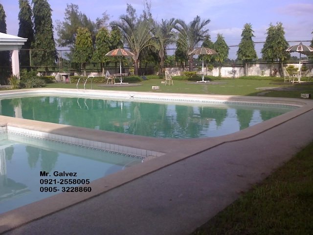 FOR SALE: Lot / Land / Farm Cavite > Dasmarinas 4