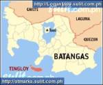 FOR SALE: Lot / Land / Farm Batangas > Other areas 1