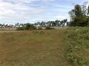 FOR SALE: Lot / Land / Farm Tarlac