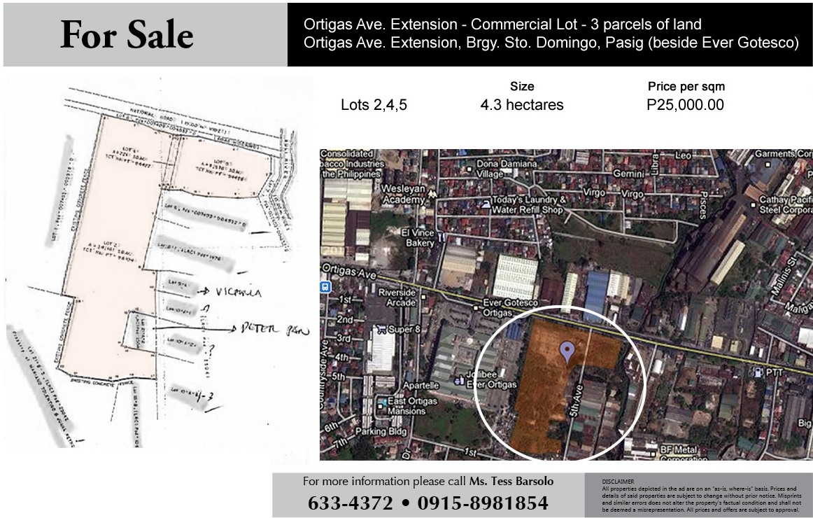 FOR SALE: Lot / Land / Farm Manila Metropolitan Area > Pasig