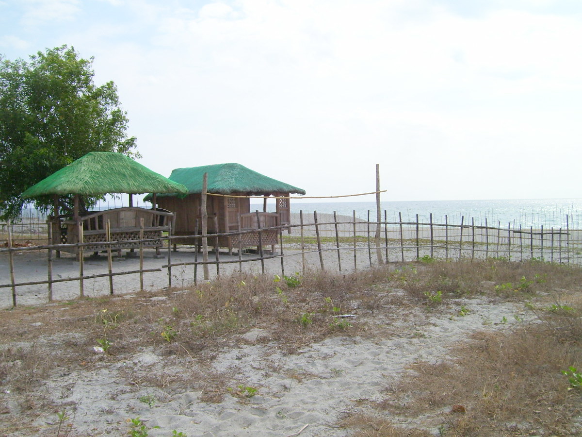 FOR SALE: Lot / Land / Farm Zambales > Other areas 23