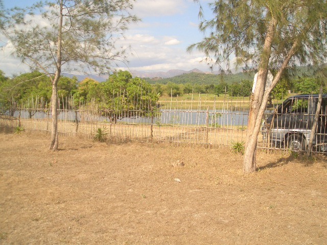 FOR SALE: Lot / Land / Farm Zambales > Other areas 22