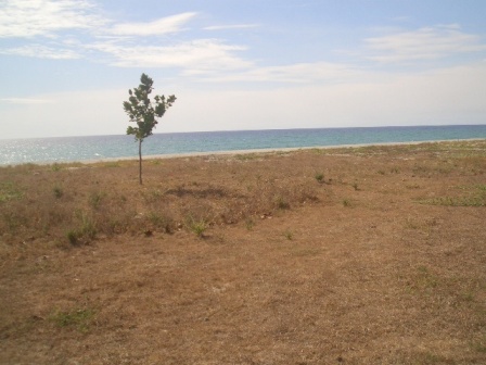 FOR SALE: Lot / Land / Farm Zambales > Other areas 19