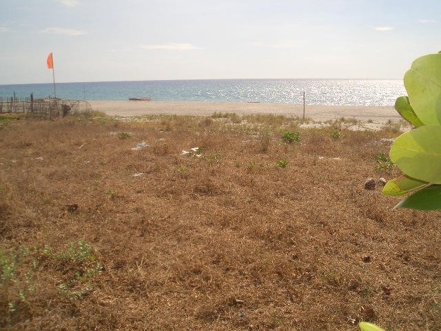 FOR SALE: Lot / Land / Farm Zambales > Other areas 18