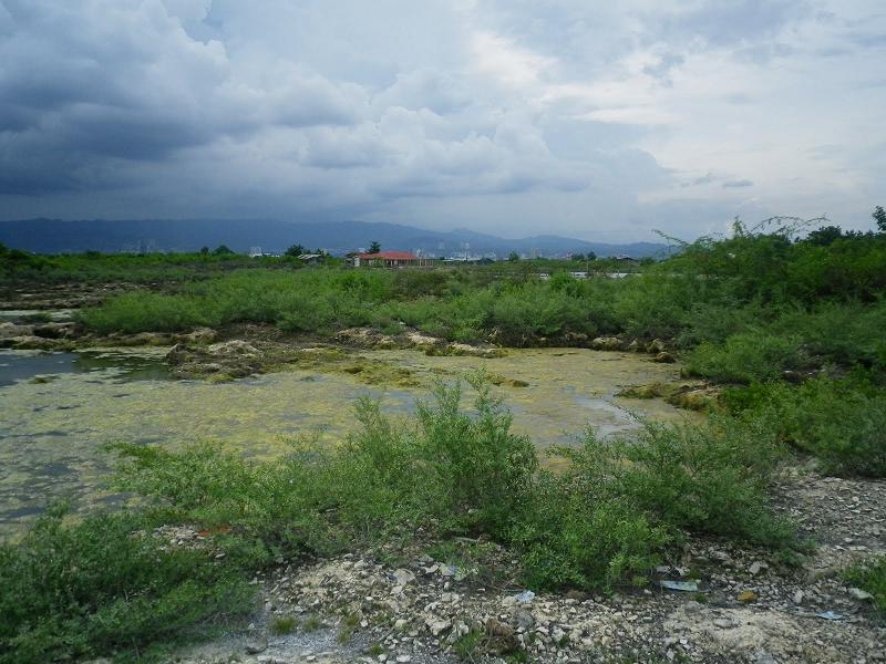 FOR SALE: Lot / Land / Farm Cebu > Mactan