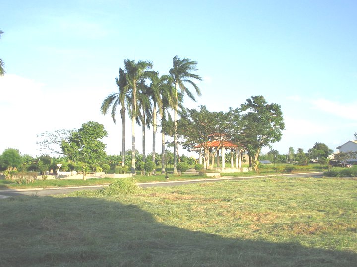 FOR SALE: Lot / Land / Farm Laguna > Sta Rosa 10