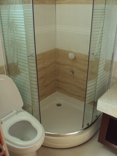 Toilet and Bath with Enclosure