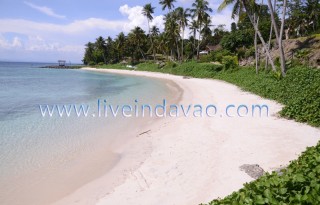 FOR SALE: Beach / Resort Davao del Sur > Samal