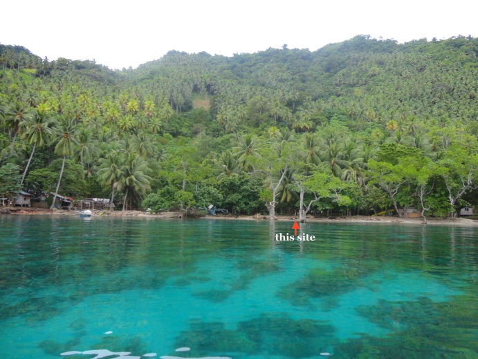 FOR SALE: Lot / Land / Farm Davao del Sur > Samal 2