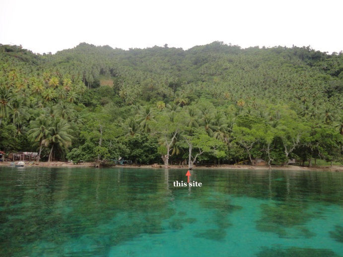 FOR SALE: Lot / Land / Farm Davao del Sur > Samal 3