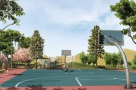 Basketball/Playcourt