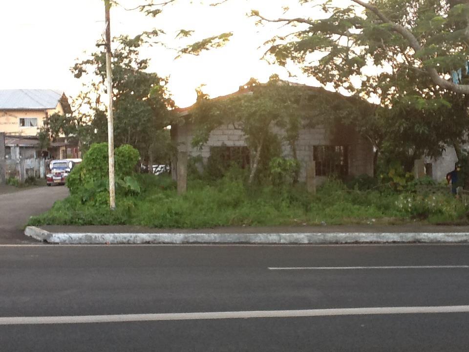 FOR SALE: Lot / Land / Farm Cavite 1