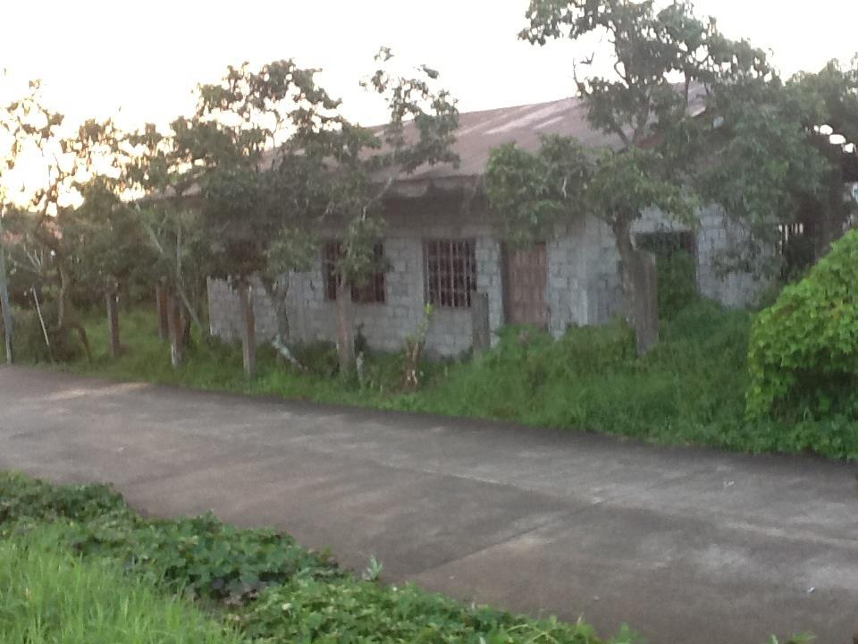 FOR SALE: Lot / Land / Farm Cavite 2