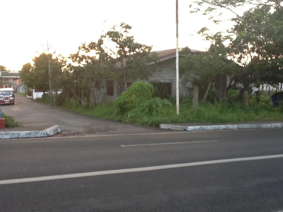 FOR SALE: Lot / Land / Farm Cavite 3