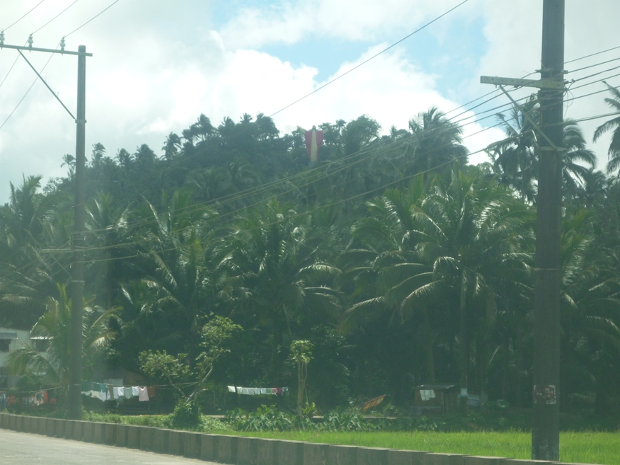 Kamay ni Jesus Lucban