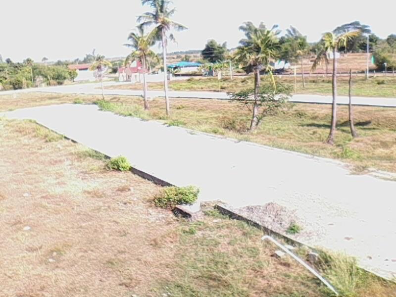 FOR SALE: Lot / Land / Farm Pangasinan > Other areas 1