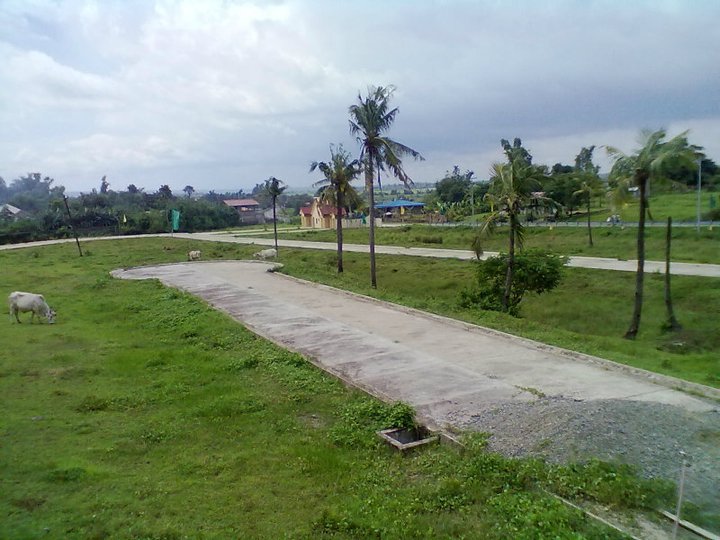 FOR SALE: Lot / Land / Farm Pangasinan > Other areas 2