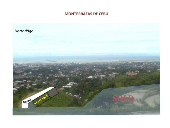 FOR SALE: Lot / Land / Farm Cebu > Cebu City 4