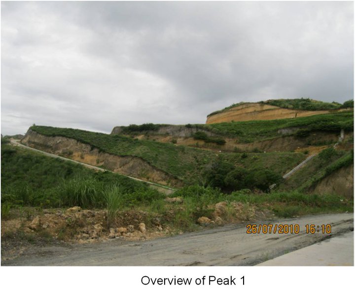 FOR SALE: Lot / Land / Farm Cebu > Cebu City 9