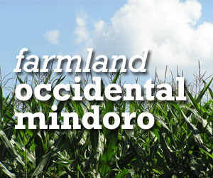 FOR SALE: Lot / Land / Farm Mindoro Occidental