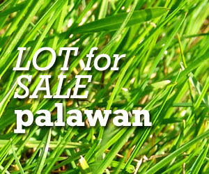 FOR SALE: Lot / Land / Farm Palawan > Puerto Princesa City