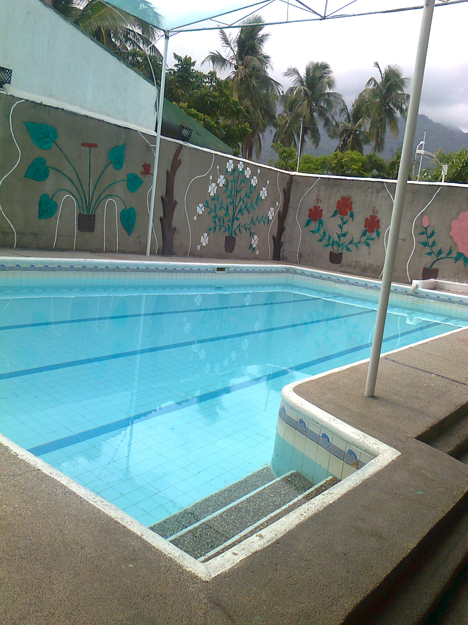 adult pool