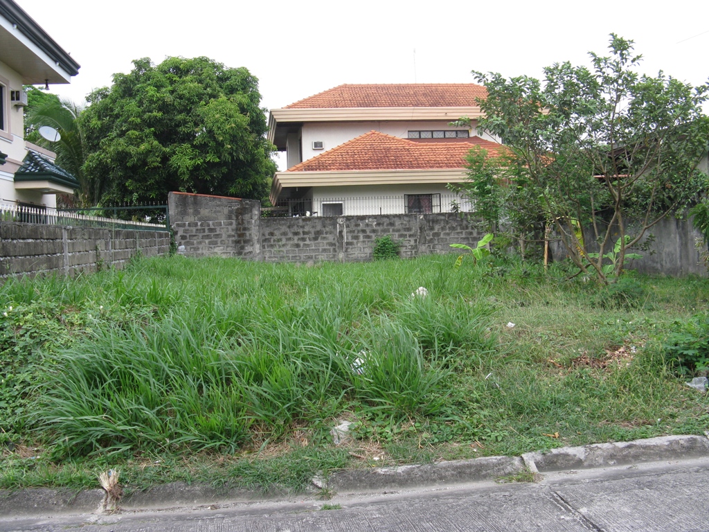 Regular cut 240sqm lot