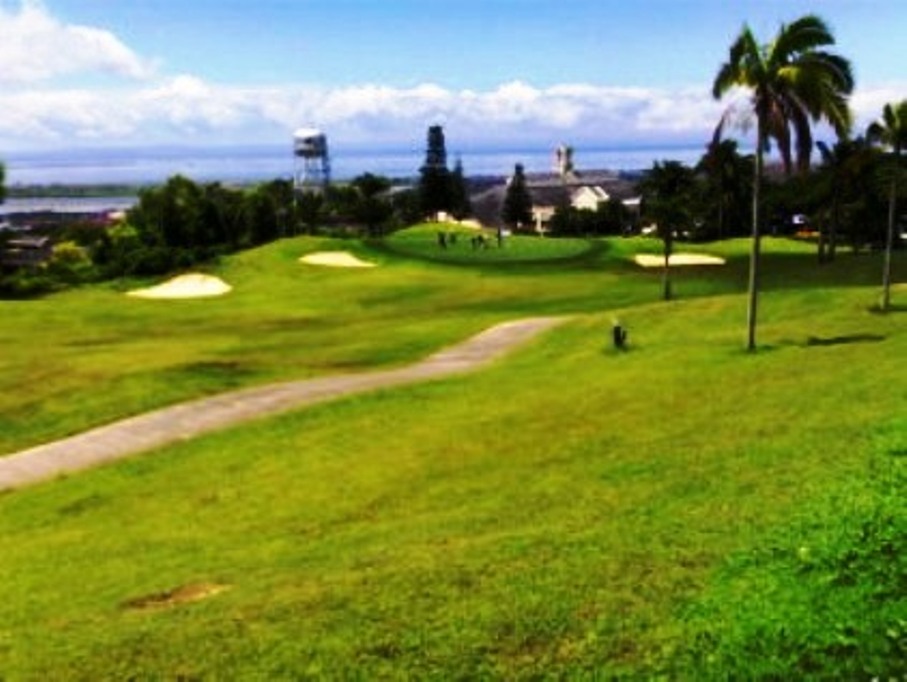 FOR SALE: Lot / Land / Farm Cebu > Cebu City 4