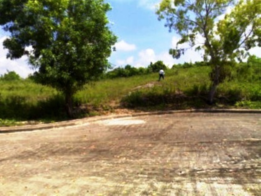 FOR SALE: Lot / Land / Farm Cebu > Cebu City 7