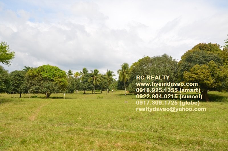 FOR SALE: Lot / Land / Farm Davao del Sur > Samal