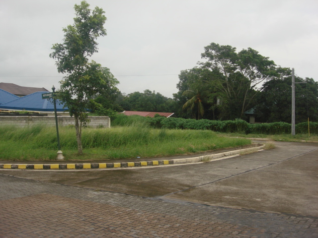 FOR SALE: Lot / Land / Farm Tagaytay 9