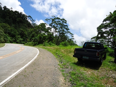 Along Marcos Highway farm lot