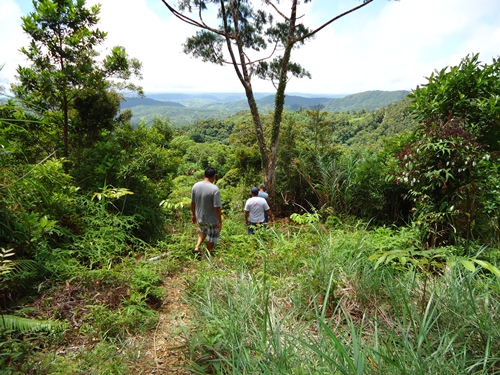 going to water falls