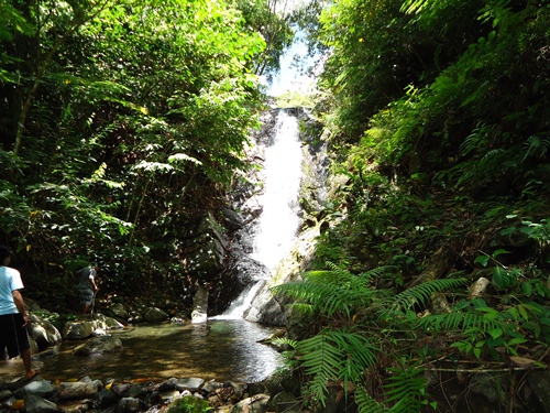 beautiful waterfalls inside the property