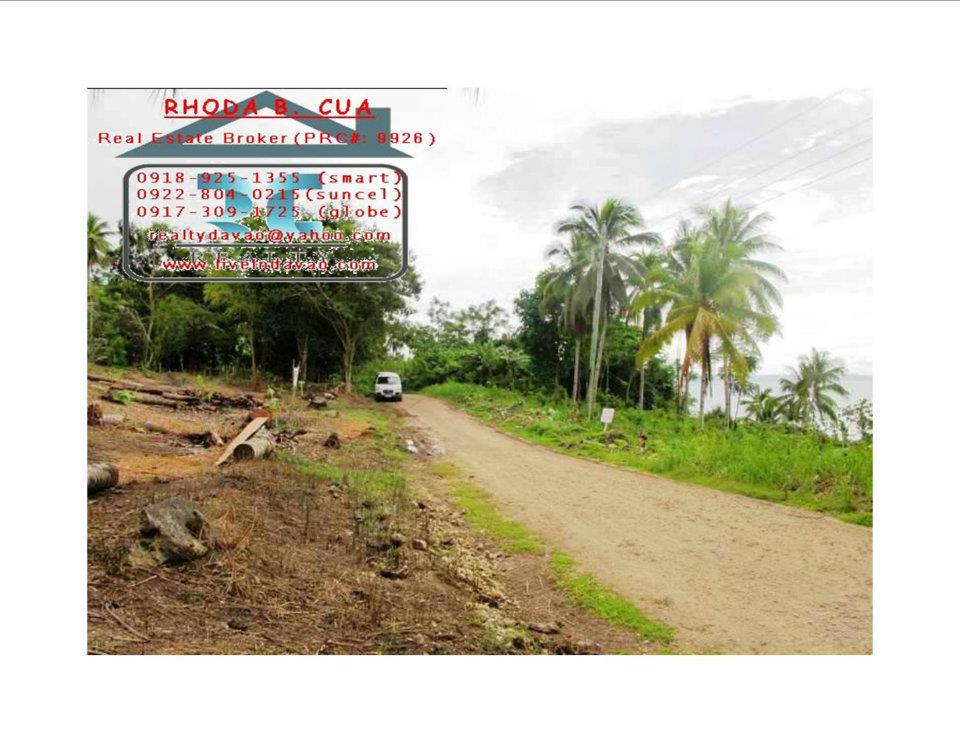 FOR SALE: Lot / Land / Farm Davao