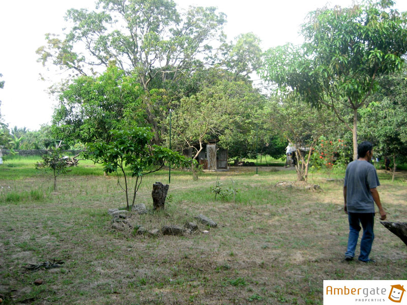 FOR SALE: Lot / Land / Farm Bulacan