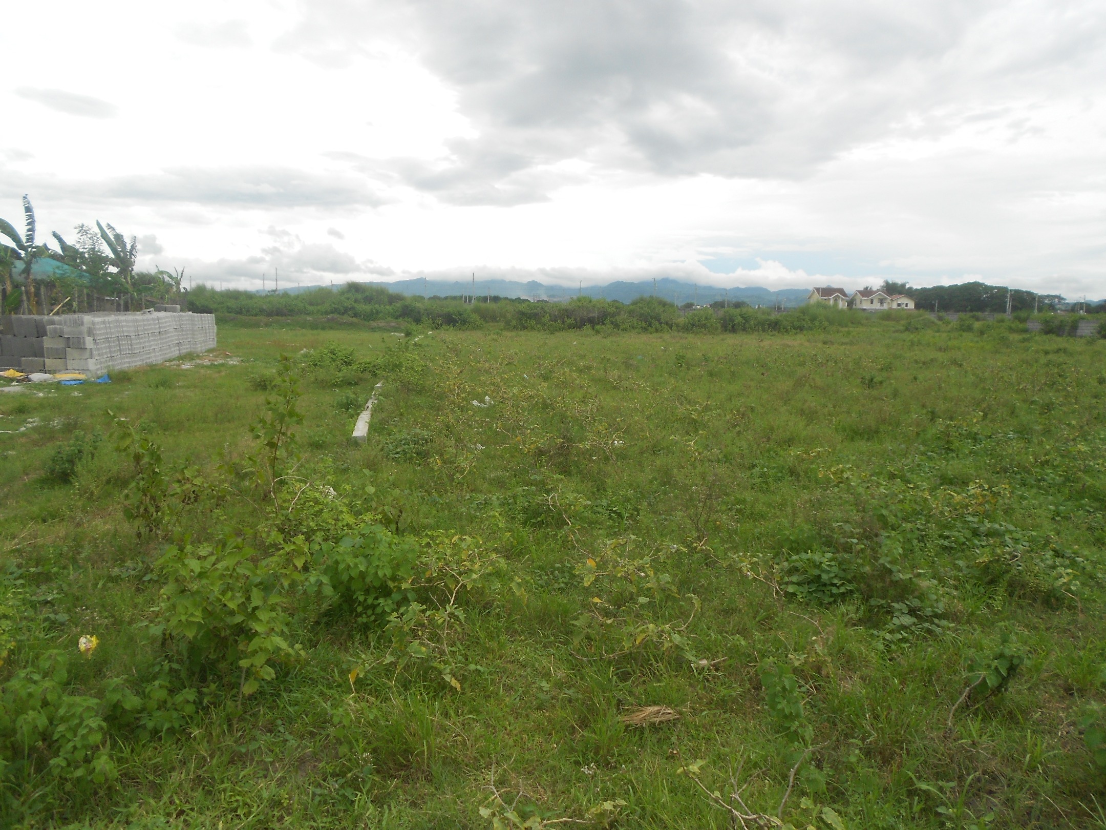 Sta. Maria Lot with fence