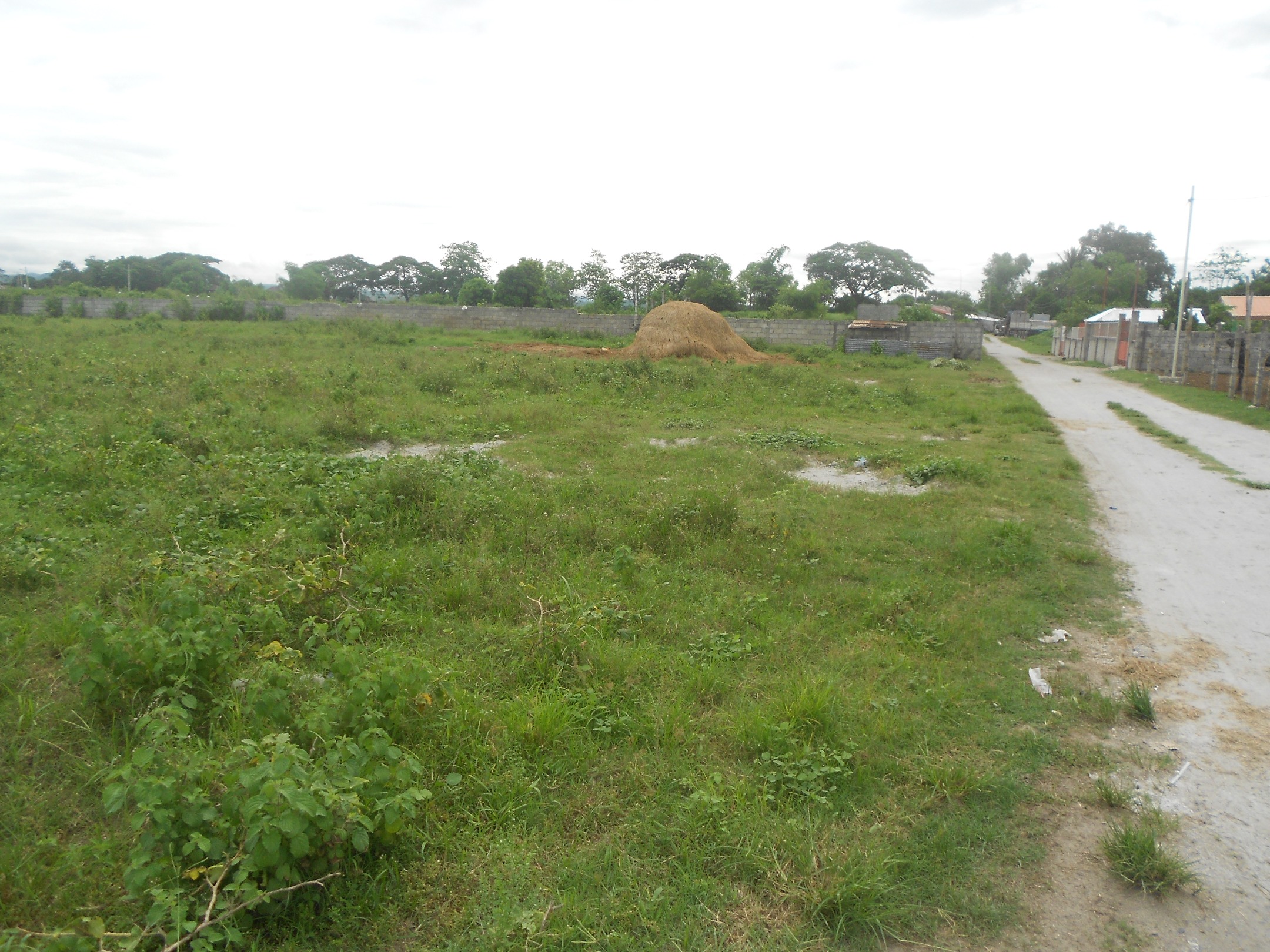 Sta. Maria Lot with fence