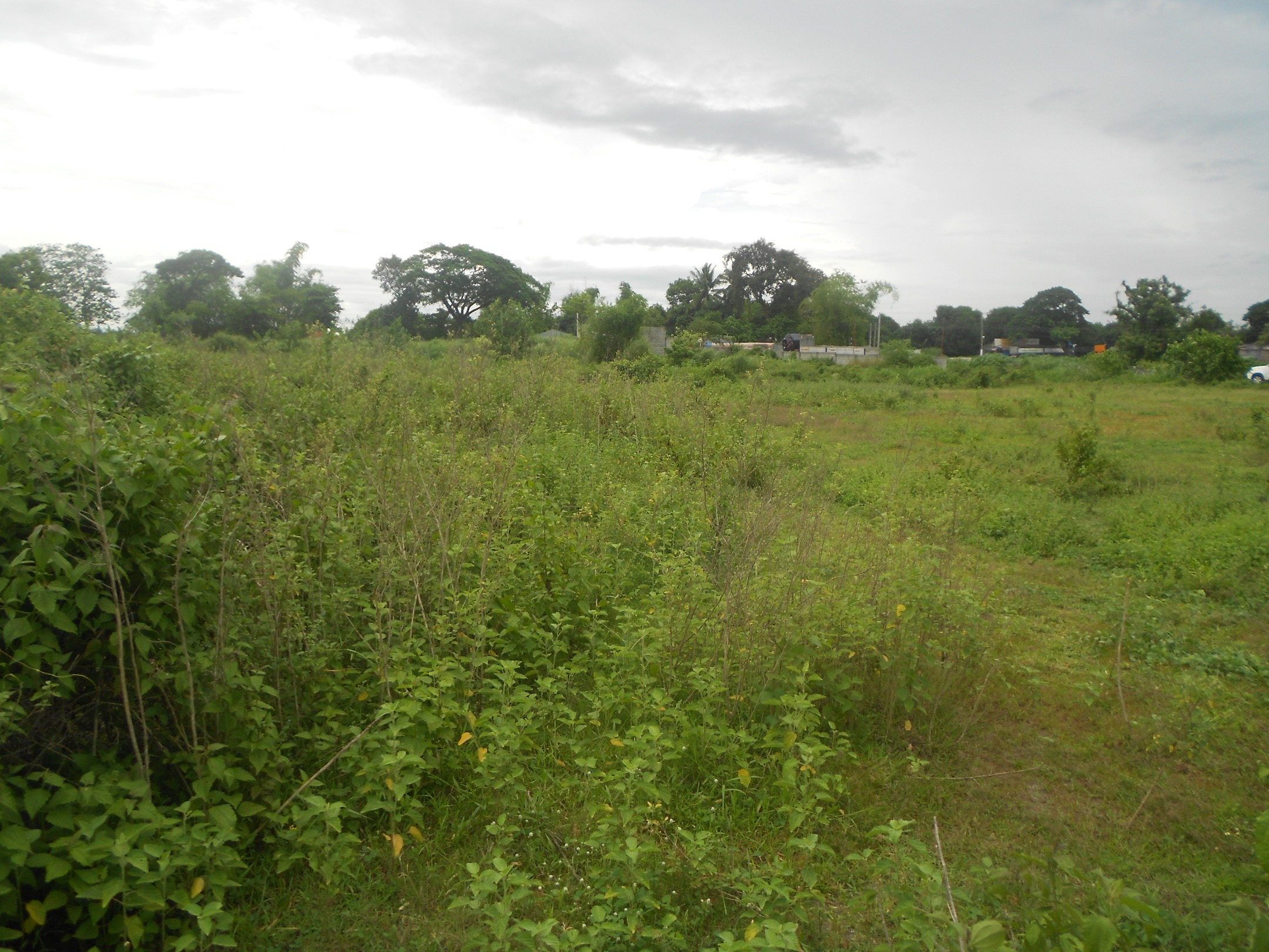 FOR SALE: Lot / Land / Farm Pampanga > Angeles City 9