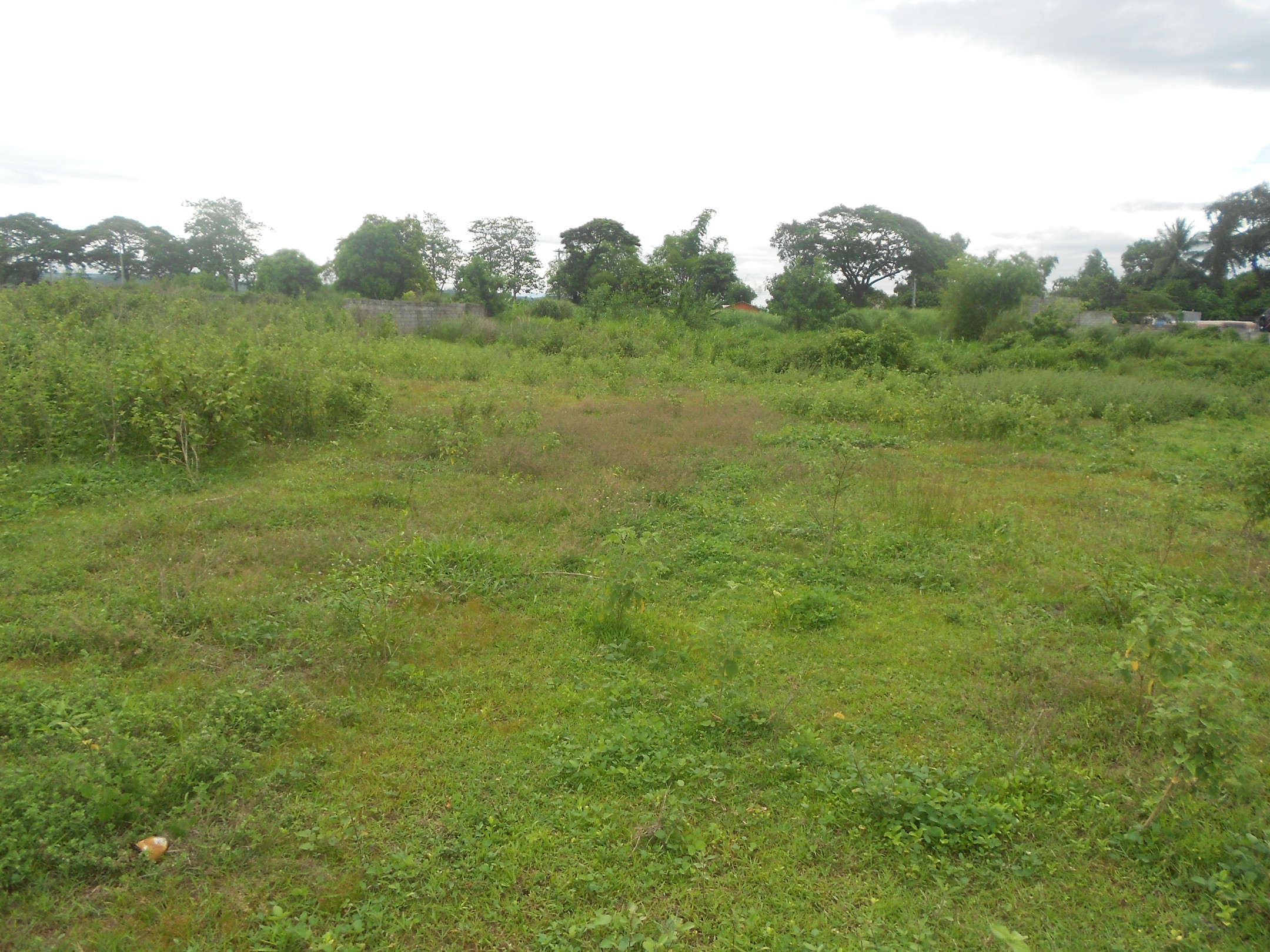 FOR SALE: Lot / Land / Farm Pampanga > Angeles City 1