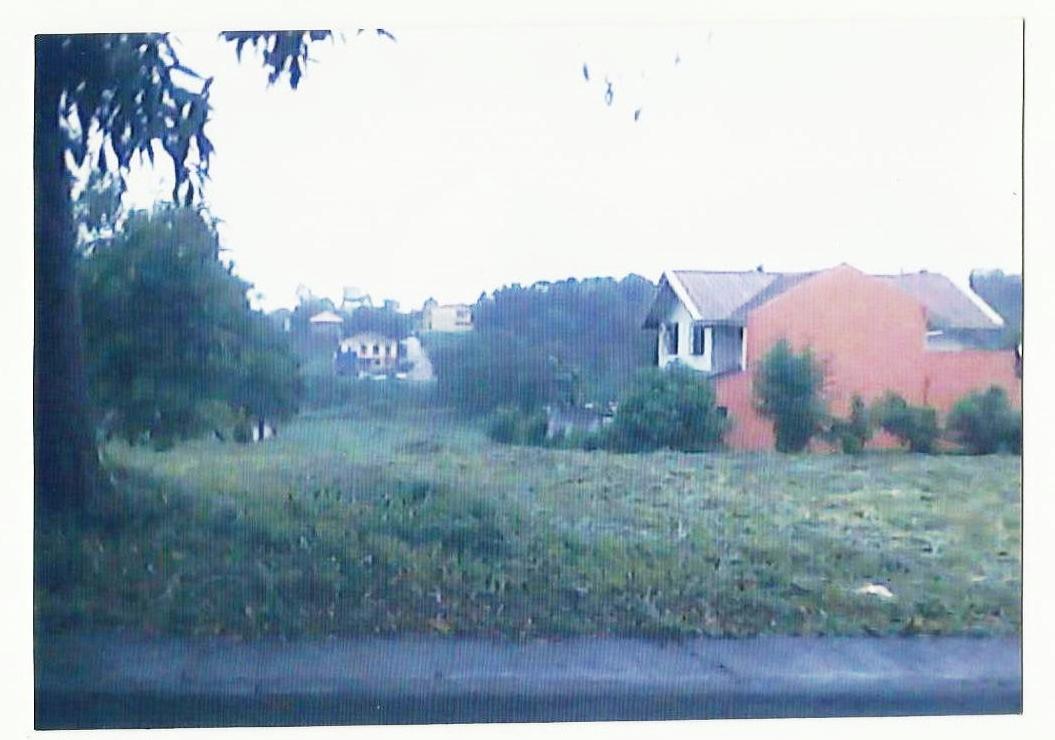 FOR SALE: Lot / Land / Farm Cavite > Silang 2