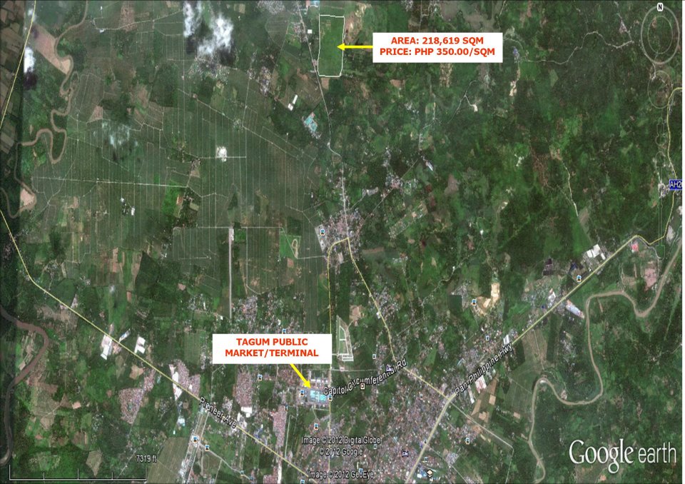 FOR SALE: Lot / Land / Farm Davao