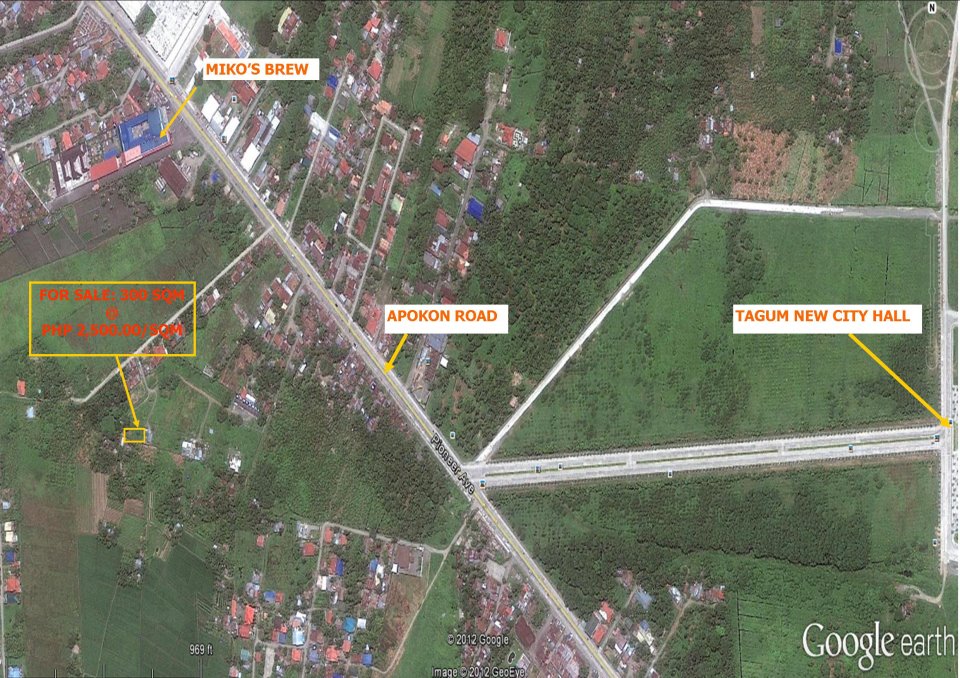 FOR SALE: Lot / Land / Farm Davao